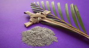 Quarta-feira de Cinzas: O Início da Quaresma e o Convite à Conversão